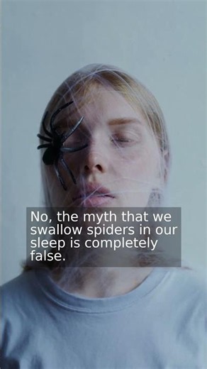 Is it true that we swallow spiders at night?