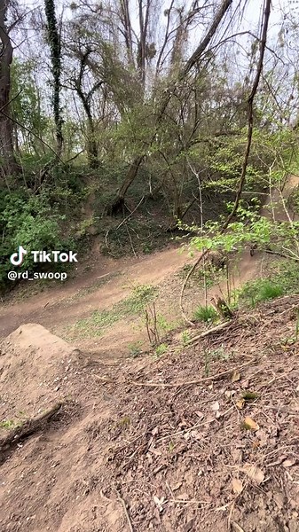 Irgendwie mein Favorit Clip #MTB #fyp #biking #radon #swoop @💫FELIX💫 @Fynn.freeride @Anthony_On_Cube @Lian_Gsb @freeride.tim1