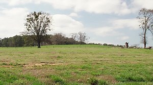 Alvin.and.the.Chipmunks.The.Road.Chip.2015