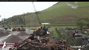 8.8K views · 377 reactions | A hail storm hit Missoula, Montana at...