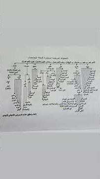 شجرة وافراع قبيلة البو شعبان الزبيدية 🔥🔥🔥