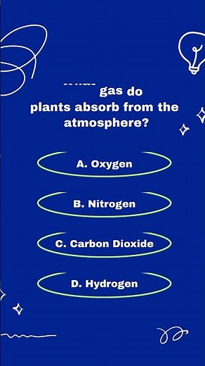 What gas do plants absorb from the atmosphere?