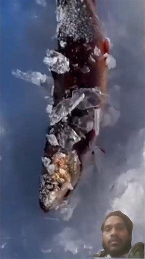 Fishing in USA 🇺🇸 | Huge Fish Catch | American Fishing Vlog #fishing