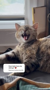 3.3K views · 6.6K reactions | Yaga compilation!!  . I finally...