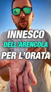 🔥SURFCASTING Fishing🔥HOW TO BAIT THE ARENICOLA WORM🔥