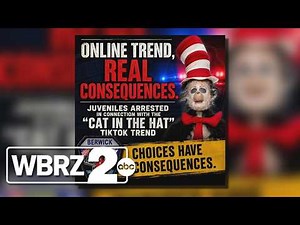 Law enforcement warns of viral 'Cat in the Hat' social media trend