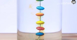 54K views · 95 reactions | Fun and simple experiments for all ages! Credit: Mr. Duck | Vonvon US | Facebook