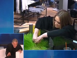 WATCH: Adele, Ellen pull off epic prank at Jamba Juice