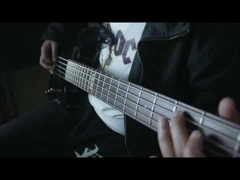 Sweet disposition - The temper trap ( bass cover )