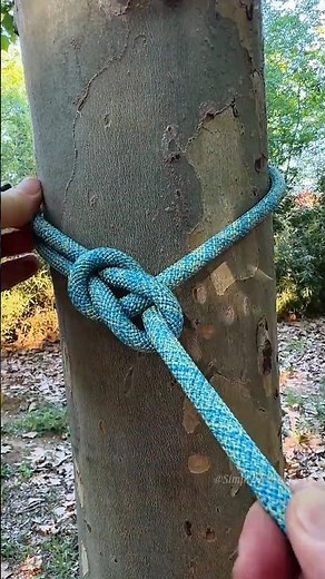 The Canopy Loop ⚡ The ultimate non-slip single-loop knot for tree anchoring.