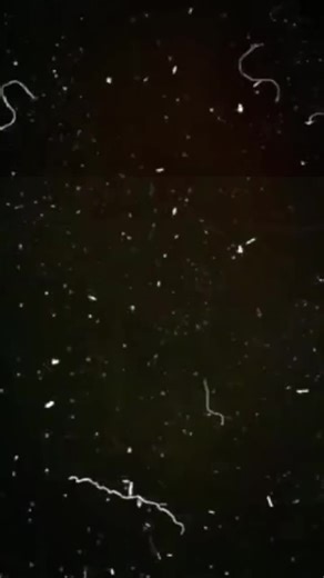 BMWSports 525i: Insights and Highlights