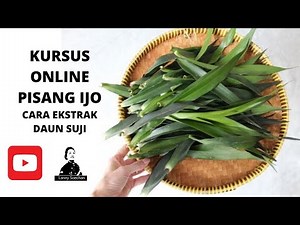 CARA EKSTRAK DAUN SUJI PRAKTIS