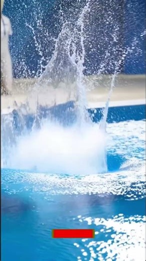 If you were a judge, what score would you give her?