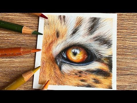 How to Draw a Tiger's Eye with Coloured Pencil + Giveaway Announcement!