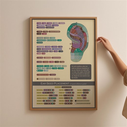 TCM Ear Seed Placement Chart, Acupuncture Points Chart Poster, Ear Acupuncture Auriculotherapy Traditional Chinese Medicine, Acupressure - Etsy UK
