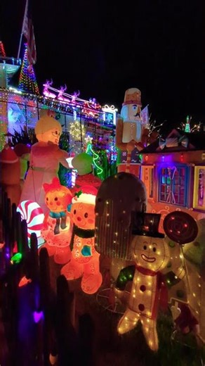 Holiday Lights in CA Be Like 😍