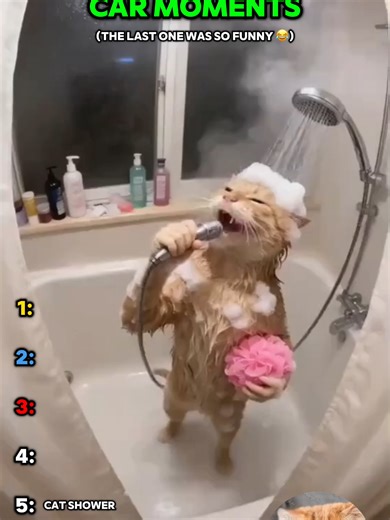 Heartwarming Animal Moments That Will Melt Your Heart 😭🐶🐱