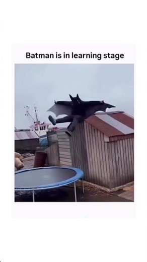 Batman Training Gone Wrong 😂💀