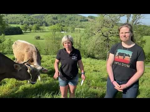 France 3 Regions - 7pm, April 23, 2026 - Interview with Joanne Jansen and Christelle Record
