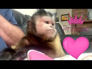 Princess MonkeyMeela LIVE