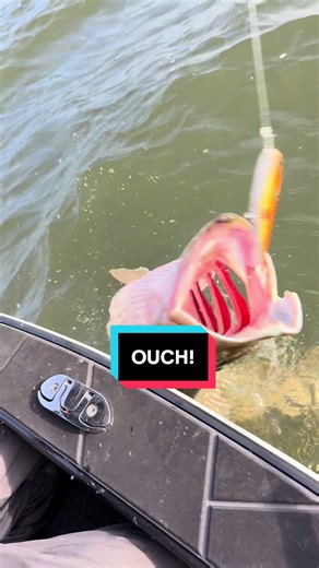 Mastering Hand-Landing Pike: Tips and Techniques