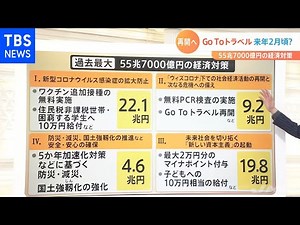 ＧｏＴｏトラベルは来年２月頃？５５．７兆円の経済対策が閣議決定【Nスタ】