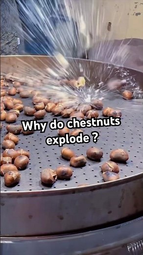 Why do chestnuts explode ?