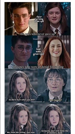 James & Lily x Harry & Ginny: History Repeating Itself? ⚡️