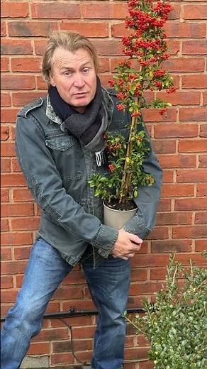 This Plant Can Lower Your Heating Bill!