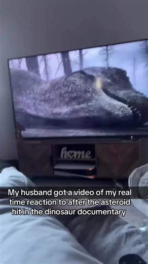 Understanding Empathy Through the Dinosaur Documentary