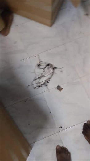 Today, November 13th, the shipment of 100 cartoon hosiery products from my friend Alam Khan's factory is underway!! | Md Milon Mia