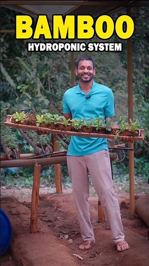 Organic Recirculating Bamboo Hydroponics System 🤨