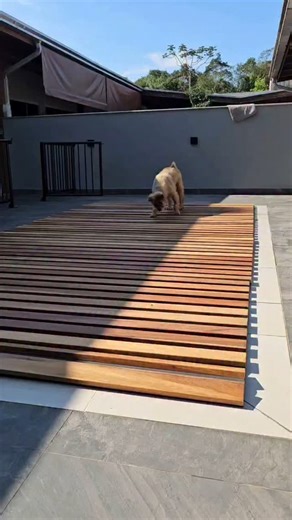 CapaDeck Oficial on Instagram: "🏊‍♂️🐶👶 Você sabia que é possível proteger sua piscina com elegância e segurança total? Apresentamos a Capadeck – a capa de piscina em deck enrolável que: ✔️ Evita acidentes com crianças e pets ✔️ Mantém a piscina limpa, livre de folhas e sujeiras ✔️ Suporta peso com estrutura reforçada ✔️ É modular e prática de usar ✔️ Deixa o ambiente mais bonito e valorizado 💧 Sua piscina 100% protegida. 💡 Instalação sob medida. 🌳 Madeira nobre e acabamento premium. 👉 Ide