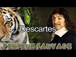 Descartes - Les relations aux animaux CH.1 EP.04