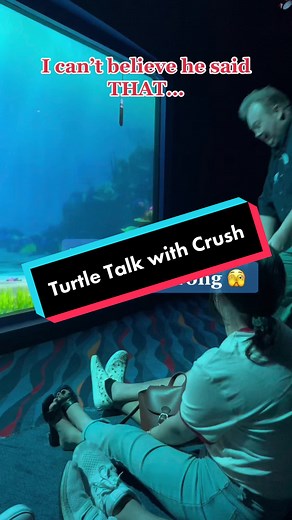I CANT believe he said that 🫣 Have you experienced turtle talk with crush? This show runs daily at the animation academy in Disney California Adventure. But after this, idk if they’ll ever have it again 😭 #disneyfypシ #pixar #findingnemo #turtletalkwithcrush #disneytiktok #disney #disneyforyou #crushtheturtle
