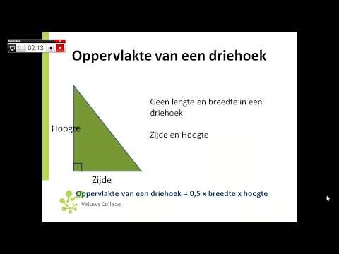Oppervlakte driehoek berekenen