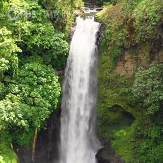 45K views · 1.2K reactions | Happy Friday! Unwind with one minute of soothing rainforest waterfalls. | Nature | PBS | Facebook
