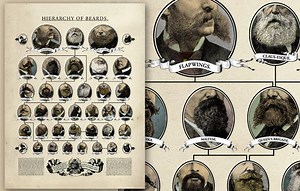 Hierarchy of Beards: the evolutionary history of face-fur
