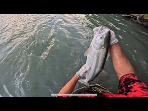 Sockeye Salmon Fishing Alaska 2025 | POV Kenai River Salmon Run