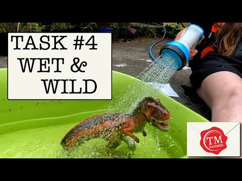 Taskmaster Hanmer: Task 4 - Wet and Wild