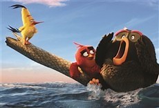 Angry Birds - HBO Online
