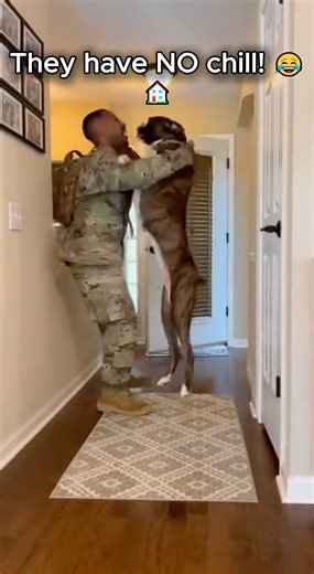 Dogs Have ZERO Chill When Soldiers Come Home! 😂🇺🇸 #shorts