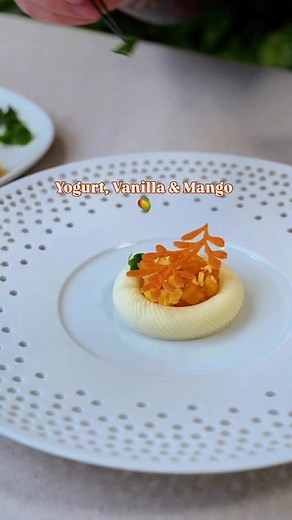 Yogurt mousse with mango compote & vanilla by @caspersundin from @ingwersen.dk #vanilla #mousse #yogurt #compote #mango #tuile #desserts #sweet #pastrychef | Nordic Chefs