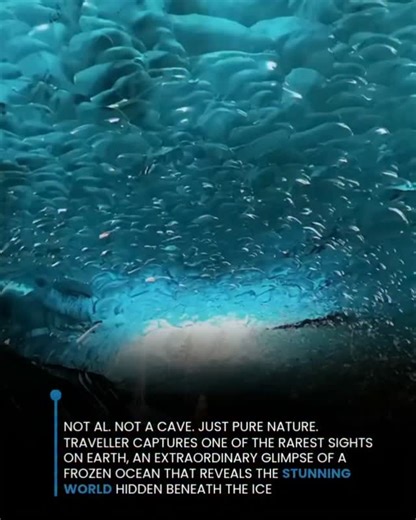 NextGen Entrepreneur on Instagram: "The footage takes you inside a frozen lagoon, showcasing naturally formed turquoise ice created by compressed glacial layers filtering light. Captured by photographer Iurie Belegurschi during an ice cave expedition beneath the Jökulsárlón glacier in Iceland, it reveals a mesmerising world sculpted slowly by nature. [Viral, nature, ice] #trending #explorepage #viral"