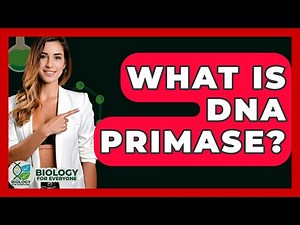 What Is DNA Primase? - Biology For Everyone