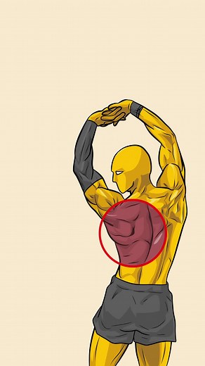 5 Powerful Moves to Strengthen Your Back | Get a Rock-Solid Back