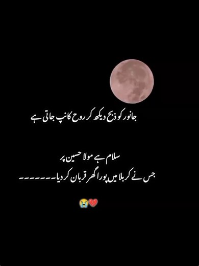 TikTok - Make Your Day_16