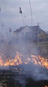 Listen to "Bonfires on the Levee," the original song that celebrates Louisiana's spectacular Christmas Eve tradition. Every year, massive bonfires are built along the Mississippi River levee to light the way for Papa Noël (Cajun Santa Claus)! Link in comments! Send me stars if you like it #LouisianaTradition #Bonfires #HolidayShorts #NewOrleans #MississippiRiver | Dixie Louviere