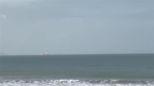 An incredibly cool and somewhat rare sighting off broadsands beach this afternoon, a decent number of Northern Gannets Diving into the bay after what I believe are mackerel 🙂 | Spotted Paignton