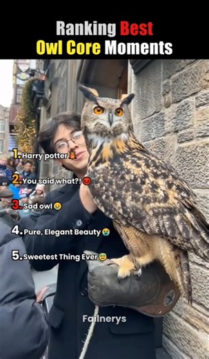 Ranking Best Owl Core Moments😭